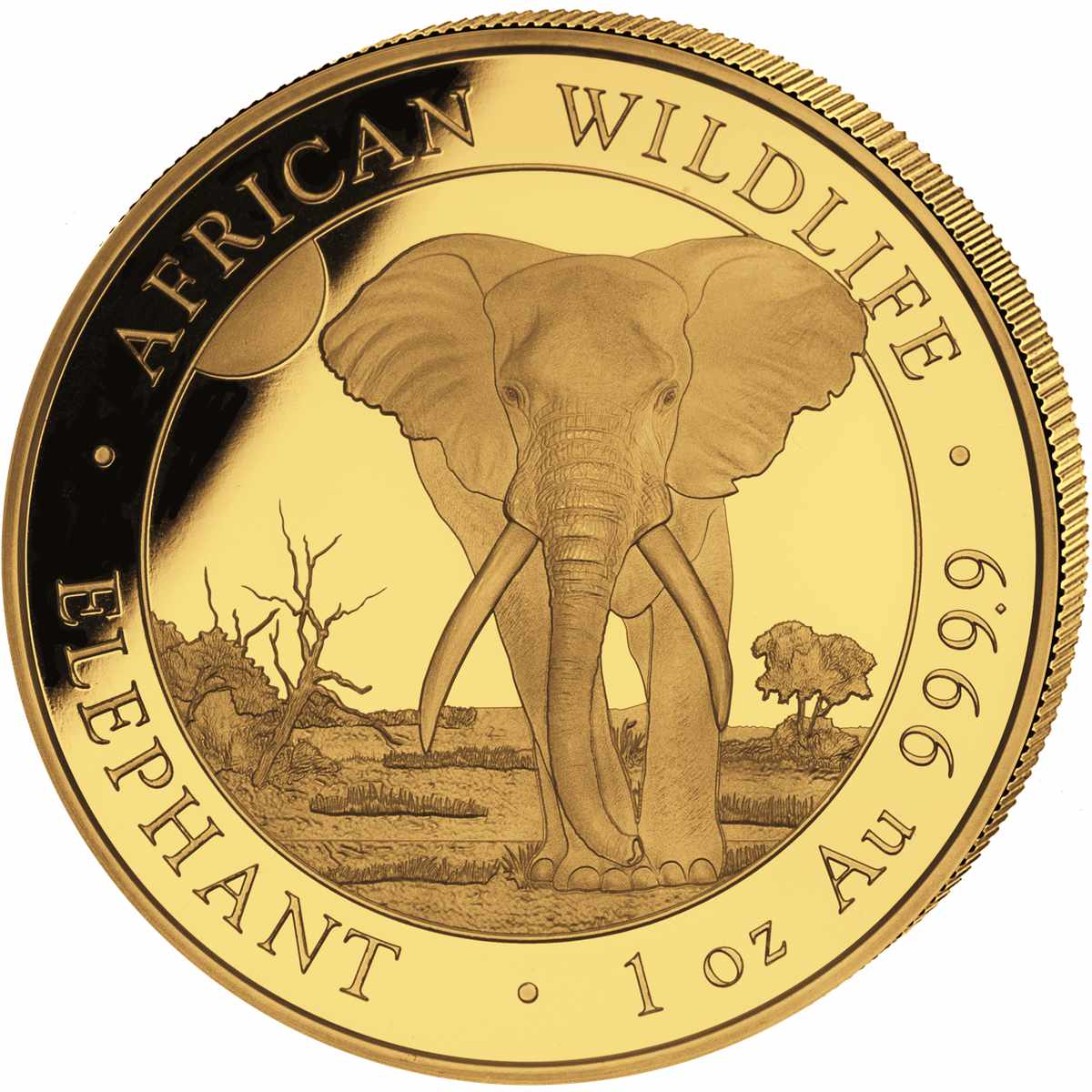 1000 шиллингов Сомали - монета 1000 шиллингов Сомалийский Слон, реверс