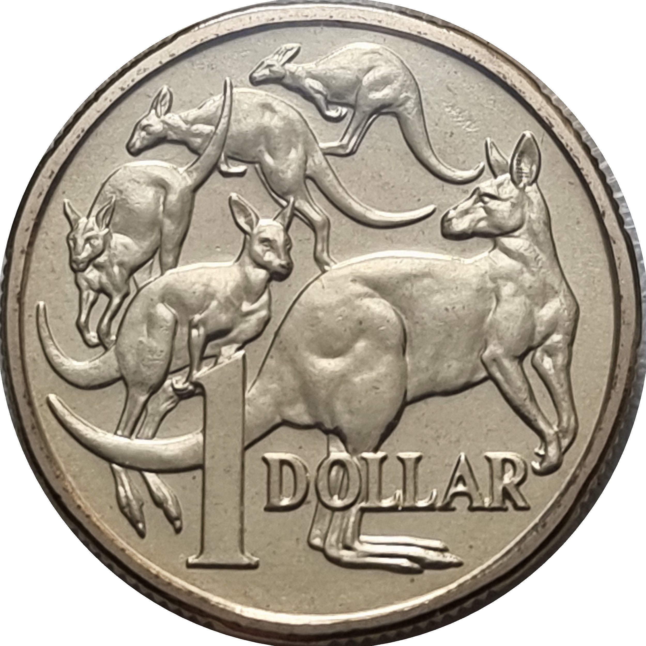 1 доллар Австралии - монета 1 доллар Пять Кенгуру, реверс