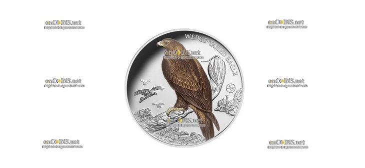 Серебро монета доллар Ниуэ Клинохвостый орел